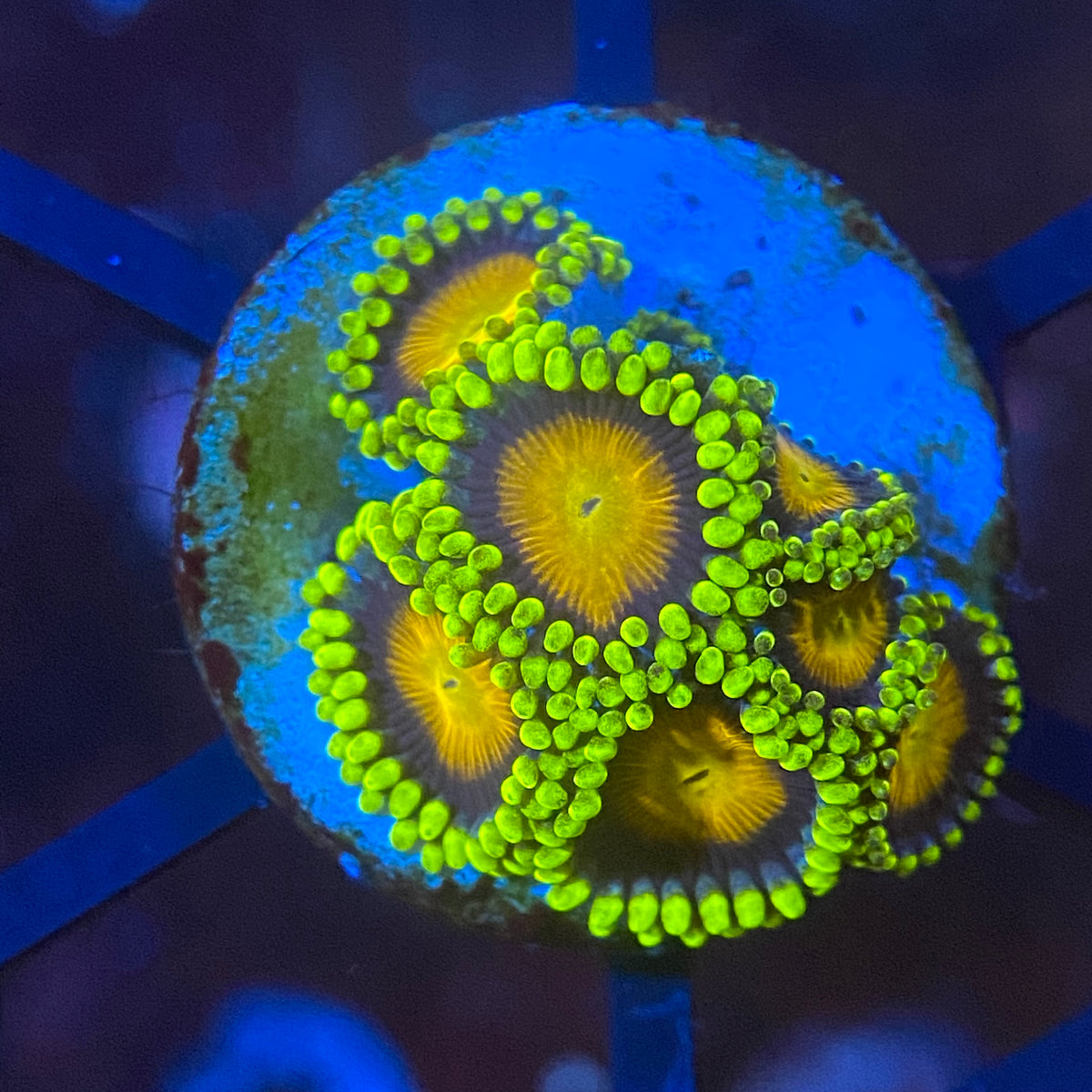 image_e779c3f1-77d8-4fac-be3e-