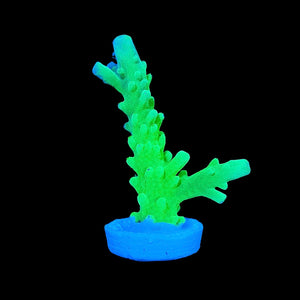 Toxic Green Acropora